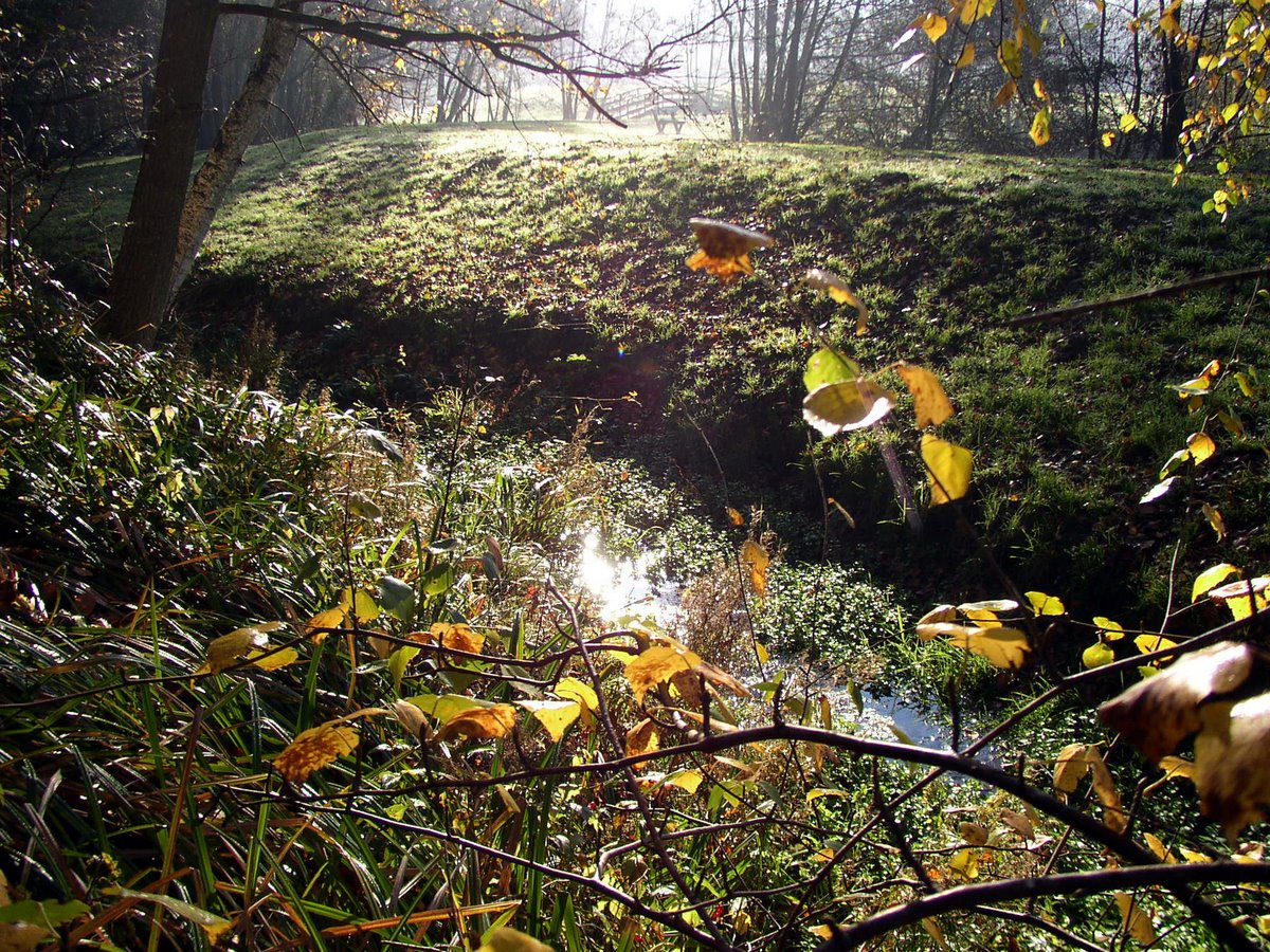 2011 11 Macrofaune benthique St Léger 12